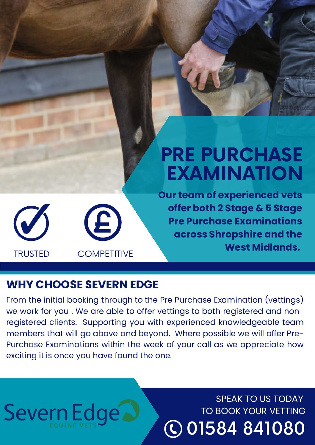 SEVERN EDGE EQUINE Our Services