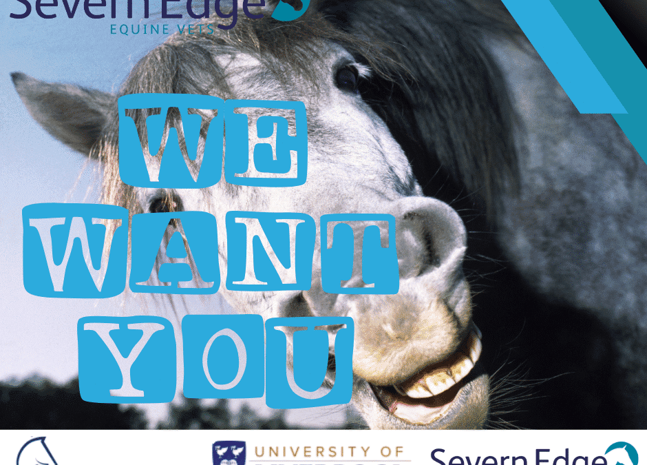 We Need You: Antimicrobial Resistance (AMR) in Horses