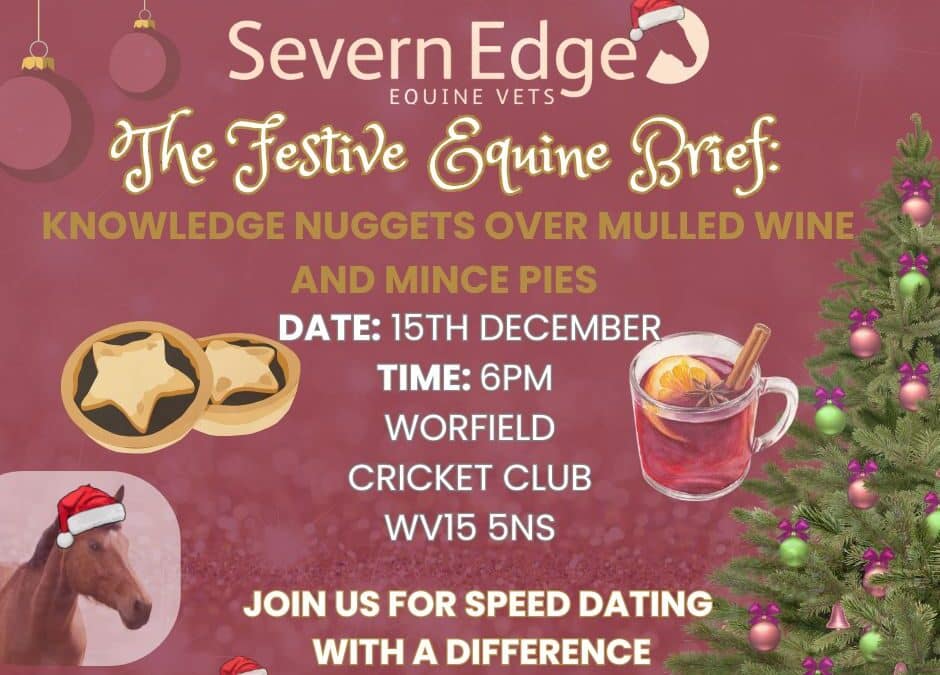 🎄✨CLIENT EVENING ✨🎄15th December Equine Nuggets of Knowledge