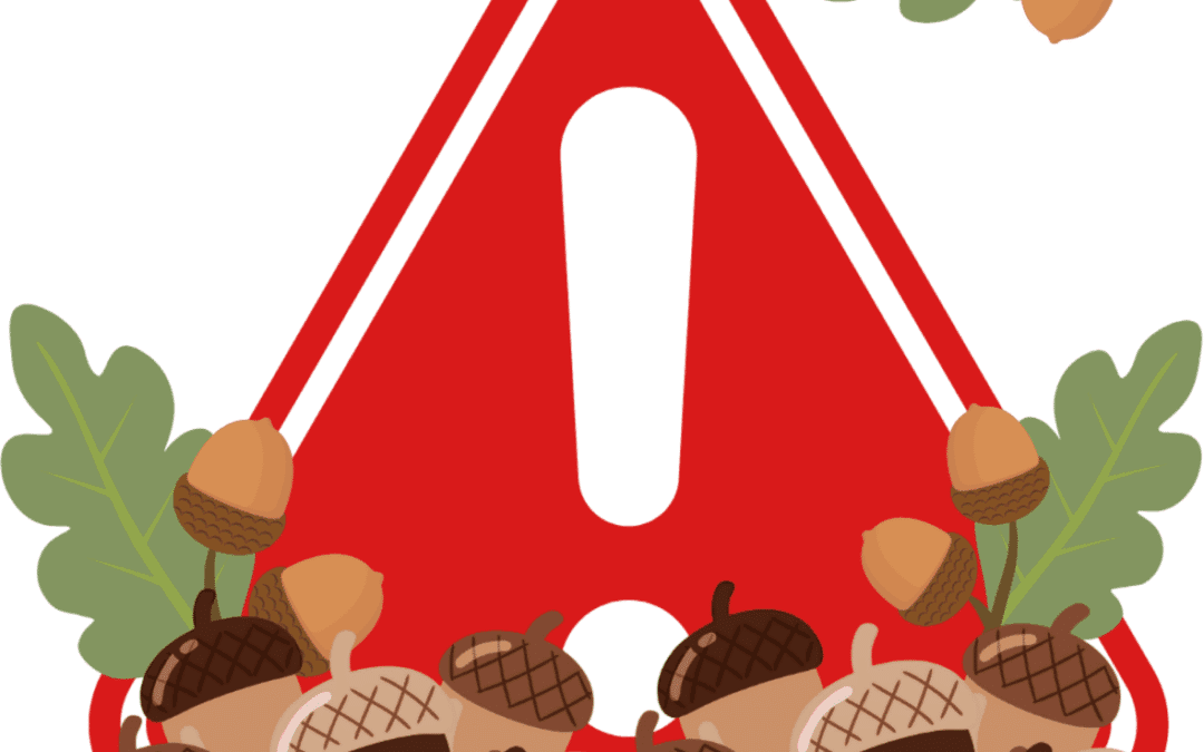 Acorn Poisoning in Horses- Please Remain Vigilant!