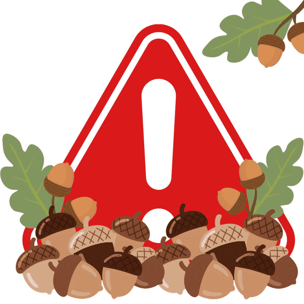Clinical Warning about Acorns