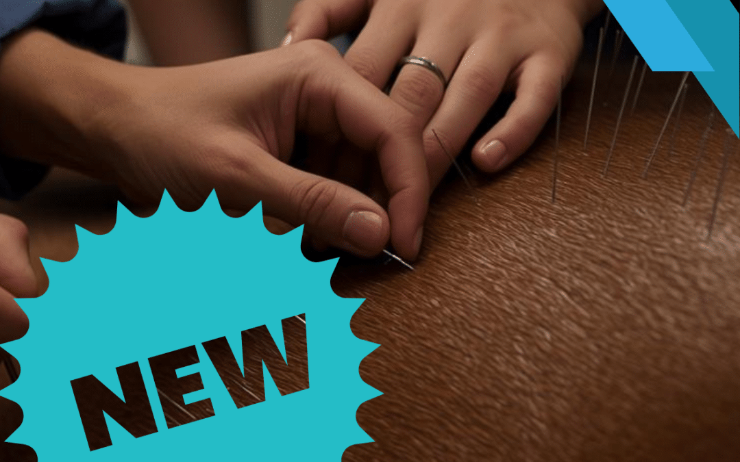 The Benefits of Acupuncture for Horses – Now Available at Severn Edge Equine
