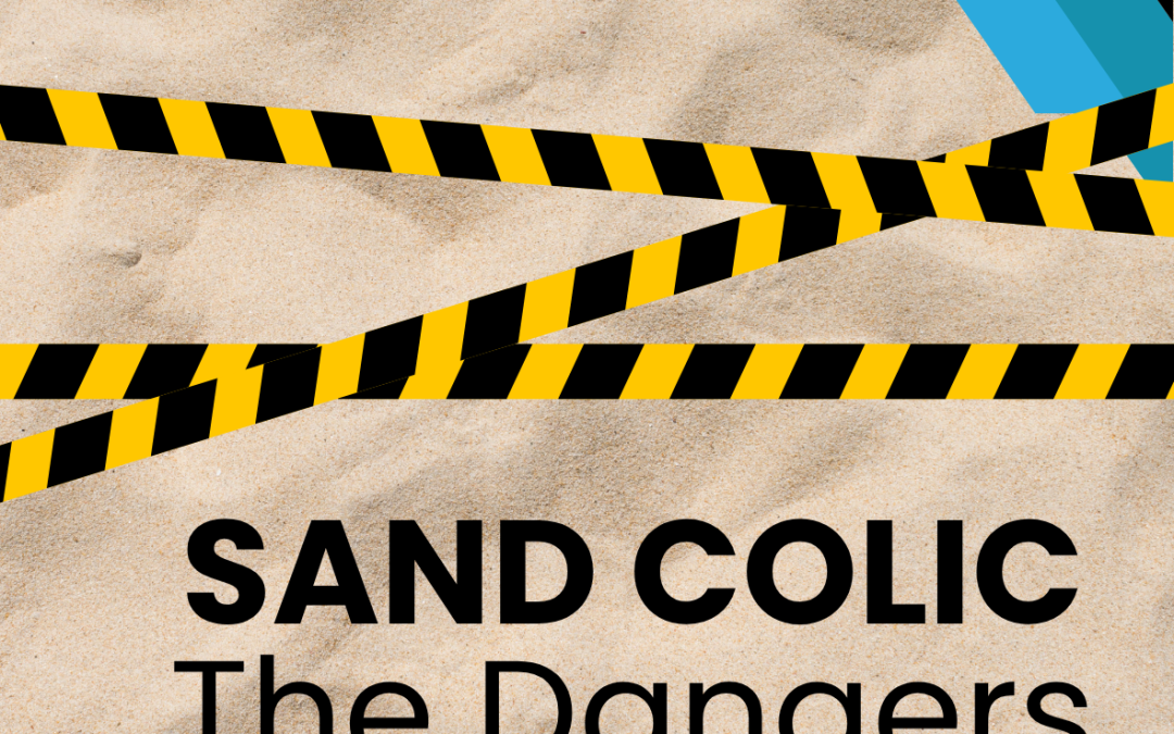 Sand Colic in Horses: Understanding the Risks and How to Prevent It