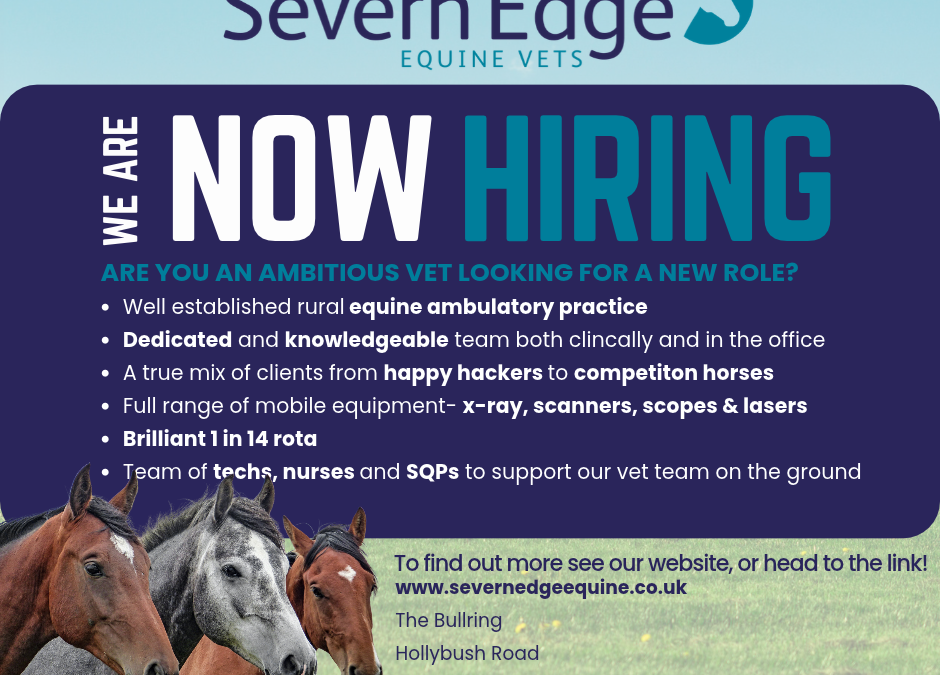 We are Hiring!