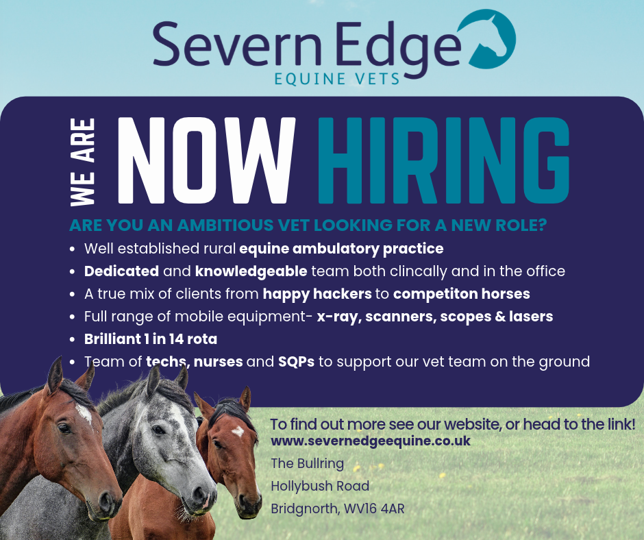 Equine Job Advert